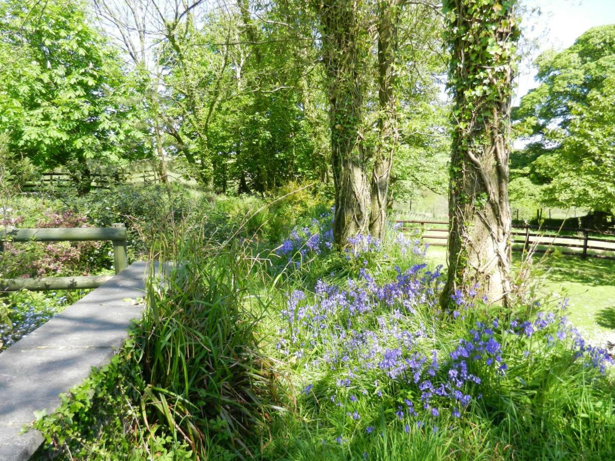 Cilwen Country House Bed And Breakfast Abernant Exteriér fotografie